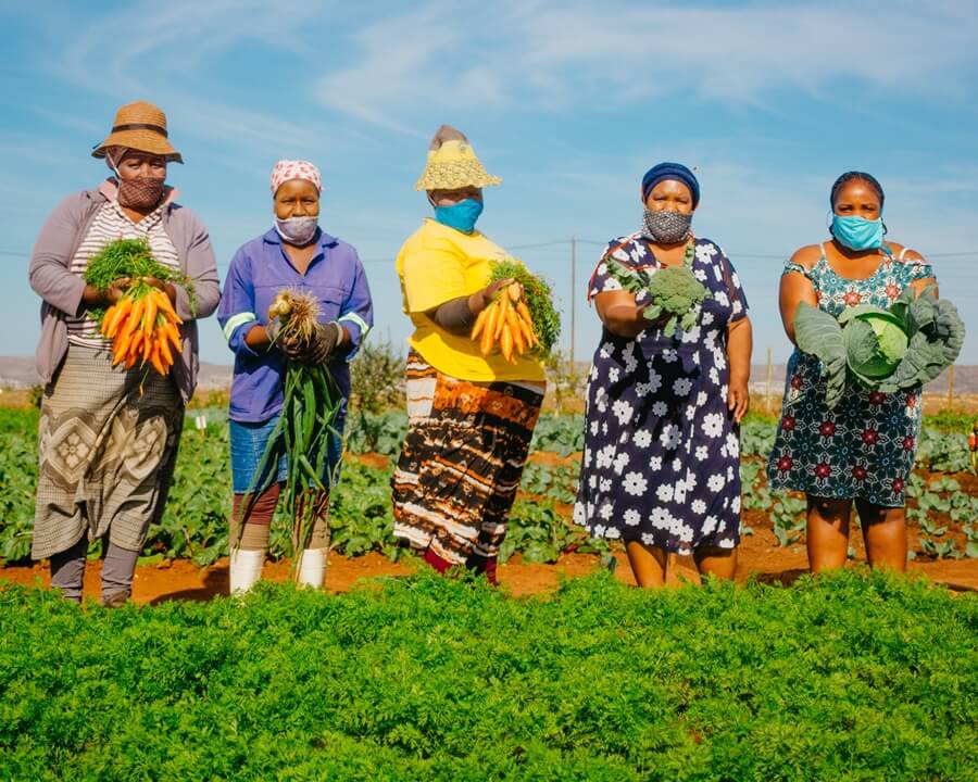 Workers holding vegetables at community vegetable garden in Joe Slovo